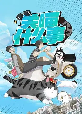 探索猫咪的奇妙世界：电影《关喵什么事》融合冒险、幽默和情感的动画之旅
